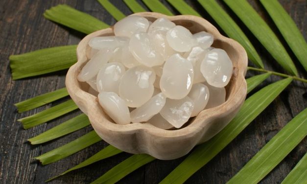 Kolang Kaling Dan Cara Membersihkannya Agar Tidak Lendir