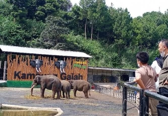 Mengenal Beragam Satwa Dari Seluruh Dunia Di Kebun Binatang