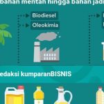 Proses Produksi Minyak Sawit Dari Kebun Hingga Ke Konsumen