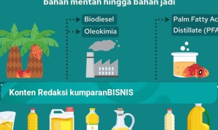 Proses Produksi Minyak Sawit Dari Kebun Hingga Ke Konsumen