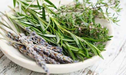 Rosemary Dalam Masakan: Tips Menghadirkan Rasa Yang Lezat