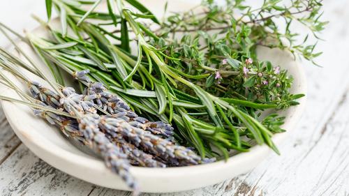 Rosemary Dalam Masakan: Tips Menghadirkan Rasa Yang Lezat