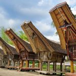 Rumah Adat Toraja: Keindahan Arsitektur Tongkonan Yang Ikonik