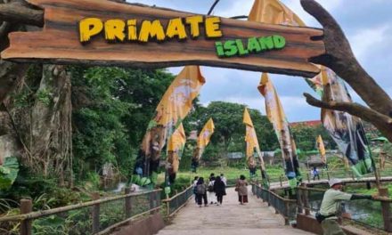 Tempat Wisata Hits Di Solo Untuk Liburan Keluarga