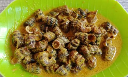 Kuliner Laut Khas Kepulauan Riau Yang Kaya Cita Rasa Melayu