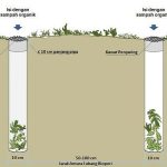 Biopori Di Lingkungan Rumah Membantu Penyerapan Air Ke Tanah