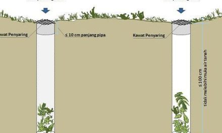 Biopori Di Lingkungan Rumah Membantu Penyerapan Air Ke Tanah