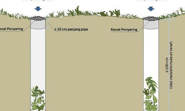 Biopori Di Lingkungan Rumah Membantu Penyerapan Air Ke Tanah