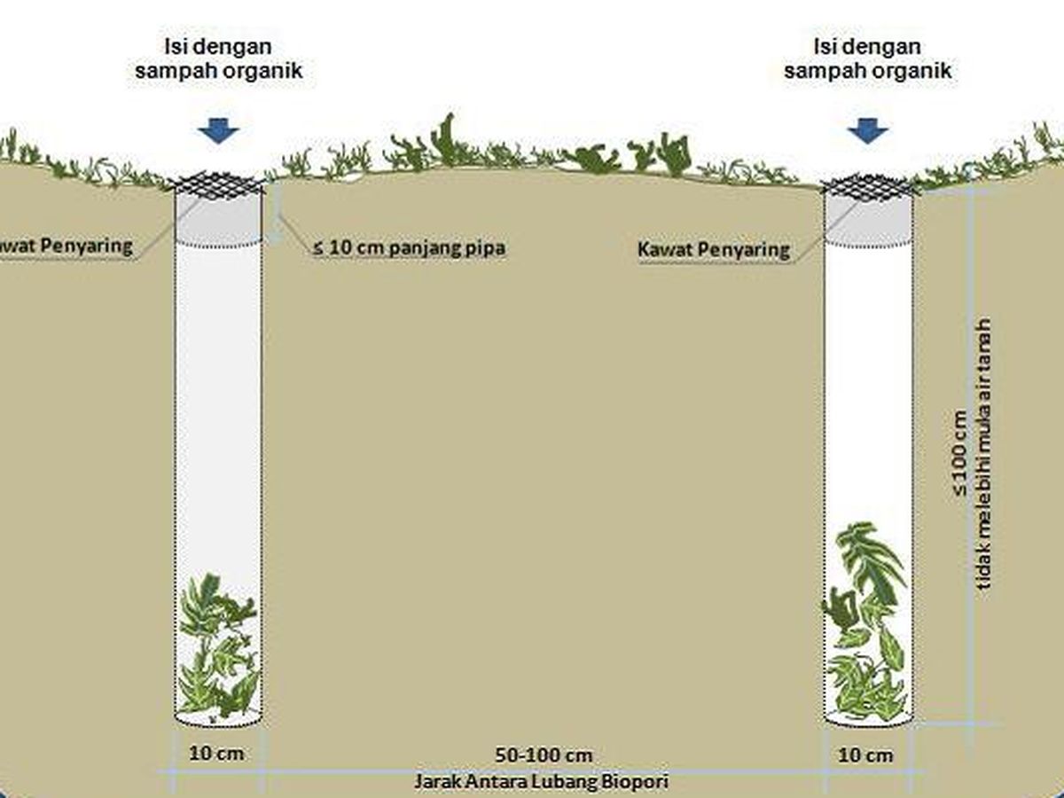 Biopori Di Lingkungan Rumah Membantu Penyerapan Air Ke Tanah