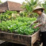 Hobi Berkebun: Aktivitas Santai Yang Bisa Dilakukan Di Rumah