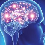 Neurosains: Mengenal Ilmu Mempelajari Otak Dan Sistem Saraf