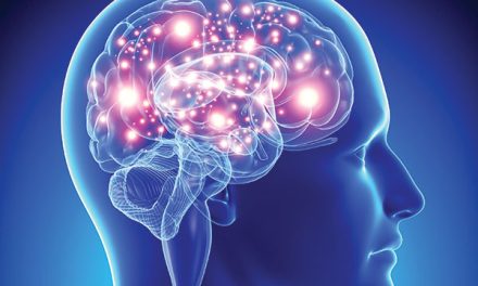 Neurosains: Mengenal Ilmu Mempelajari Otak Dan Sistem Saraf
