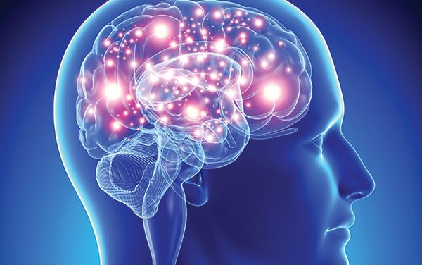 Neurosains: Mengenal Ilmu Mempelajari Otak Dan Sistem Saraf