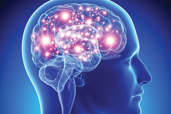 Neurosains: Mengenal Ilmu Mempelajari Otak Dan Sistem Saraf